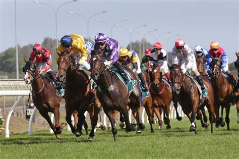 new zealand race results|New Zealand racing calendar confirmed .